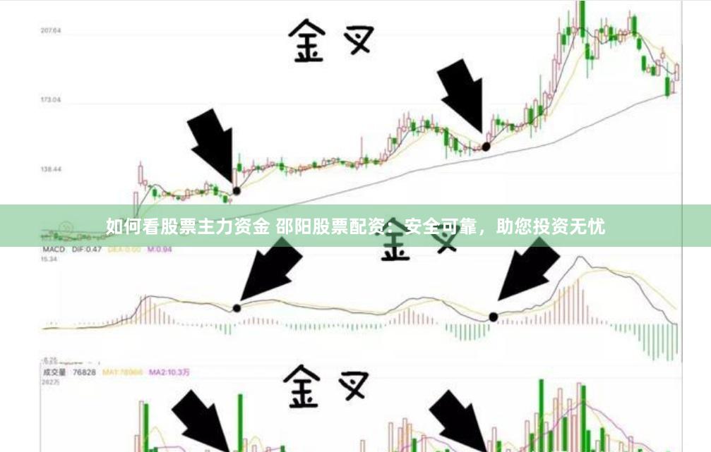 如何看股票主力资金 邵阳股票配资：安全可靠，助您投资无忧