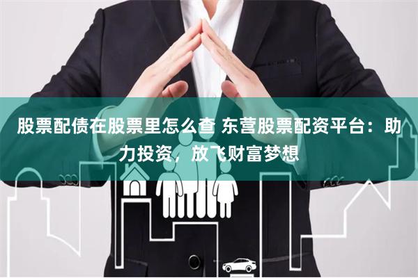股票配债在股票里怎么查 东营股票配资平台:助力投资,放飞财富梦想