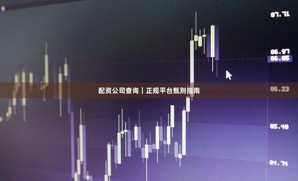 配资公司查询｜正规平台甄别指南